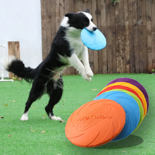SpeedFetch – Hundens Flygande Disk